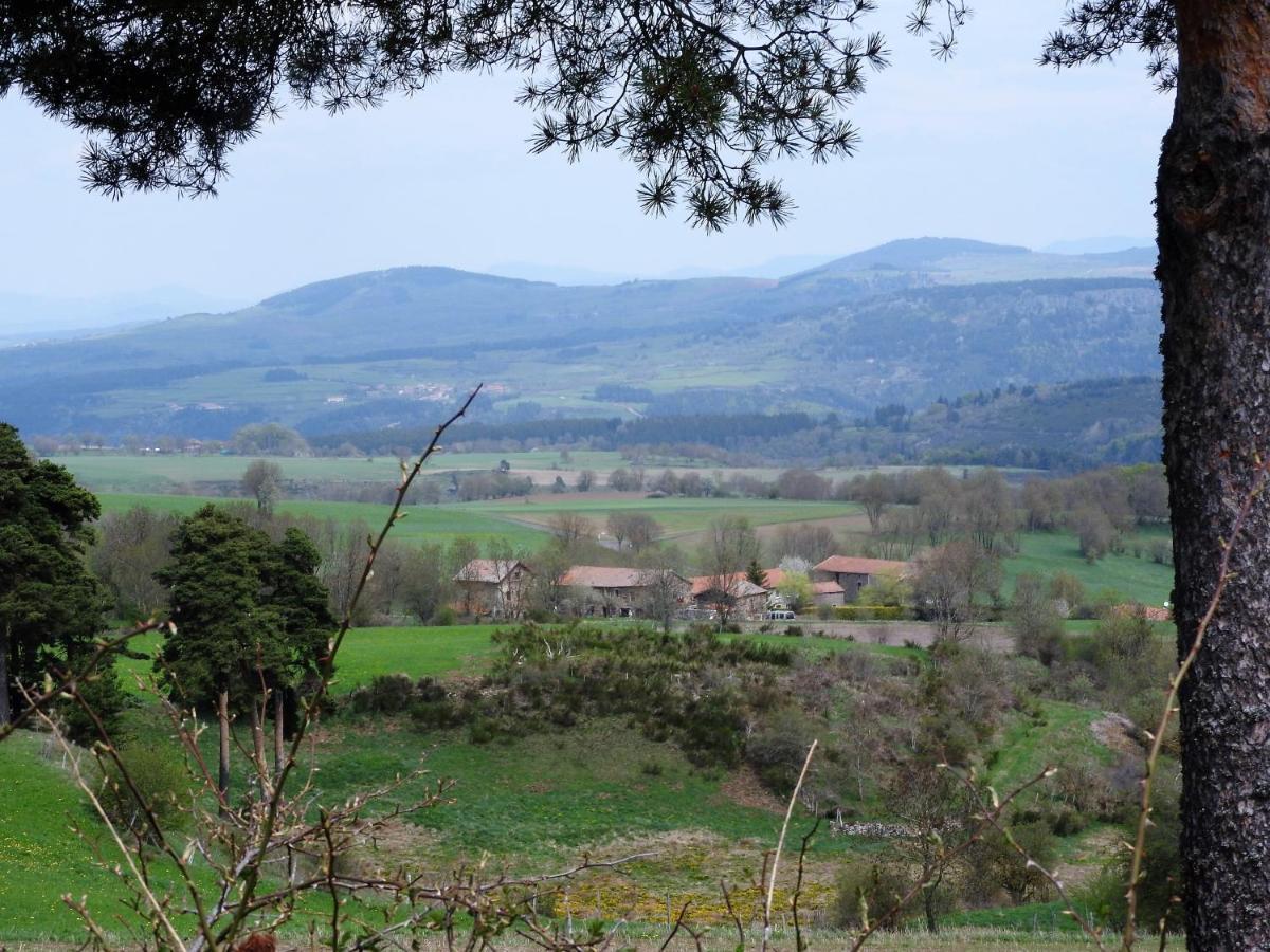 Le Marconnes Panzió Saint-Arcons-de-Barges Kültér fotó