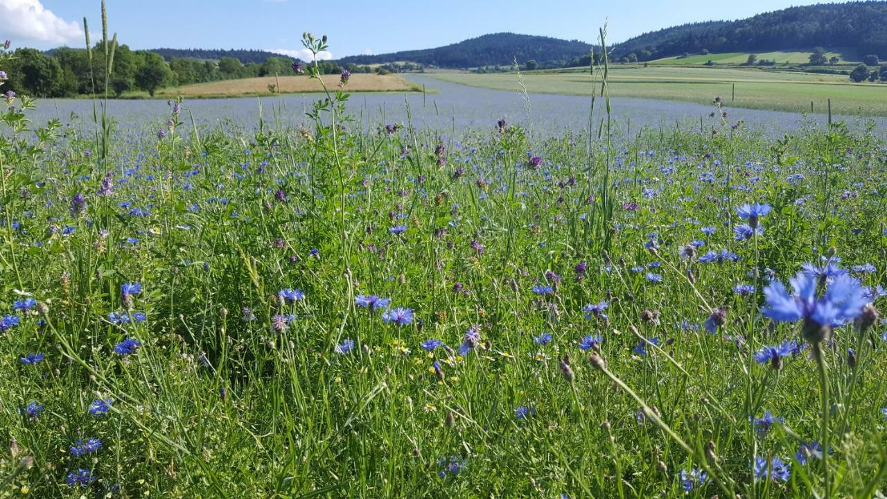 Le Marconnes Panzió Saint-Arcons-de-Barges Kültér fotó